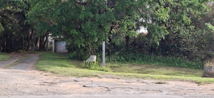 Commercial Property for Sale in Meisies Halt Eastern Cape